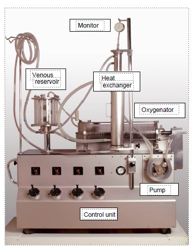 fig1 2en