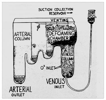 fig1 3en
