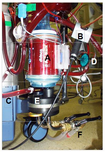 fig1 4en