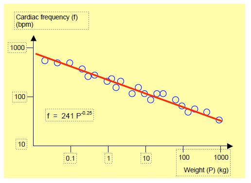 fig1 8en