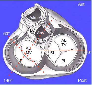 11 3 1sum