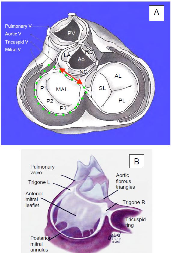 Fig11 1 en