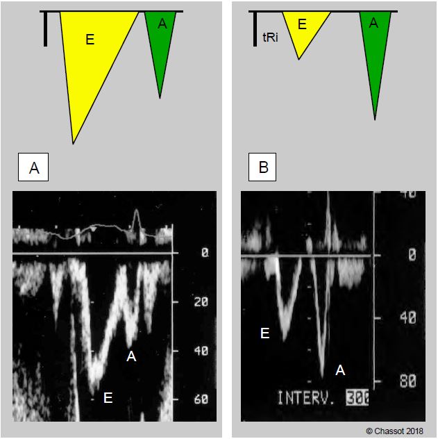 Fig11 106 en
