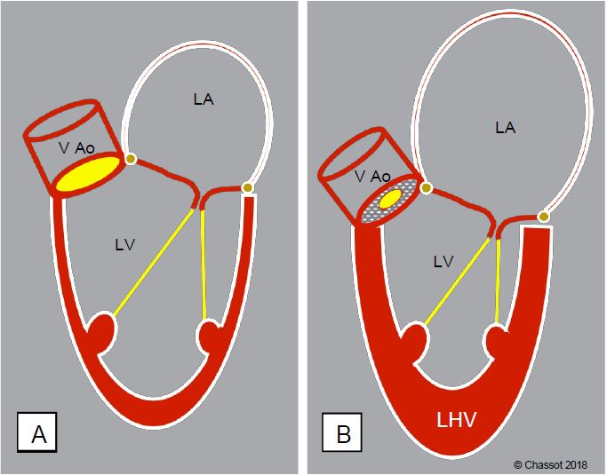 Fig11 108 en