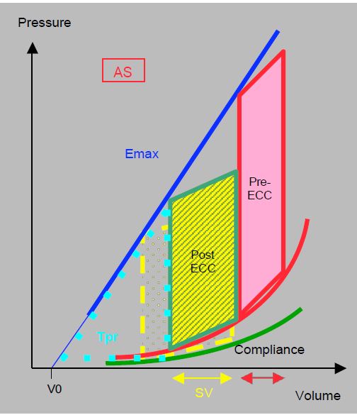 Fig11 120 en