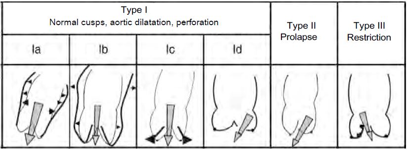 Fig11 127 en