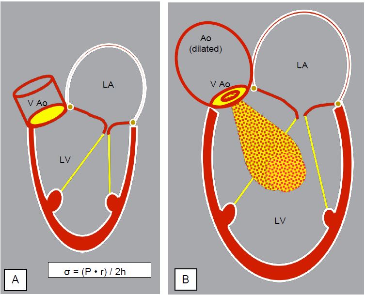 Fig11 128 en