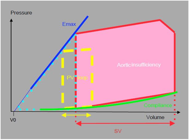 Fig11 129 en
