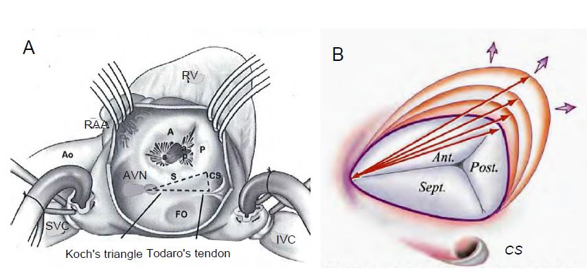 Fig11 13 en