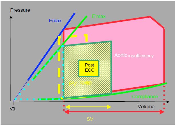 Fig11 142 en