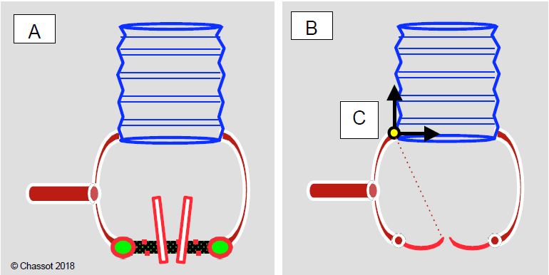 Fig11 143 en