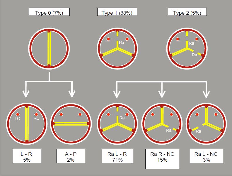 Fig11 149 en