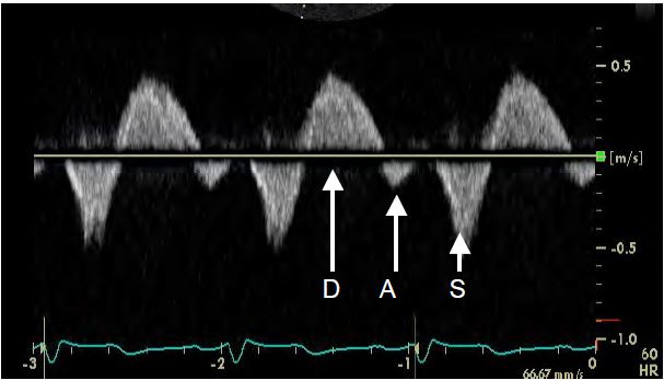 Fig11 157 en