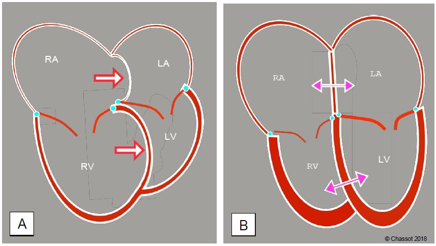 Fig11 16 en