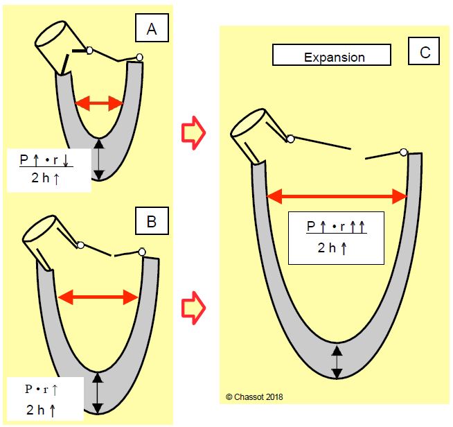 Fig11 18 en