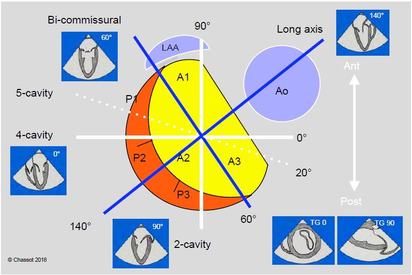 Fig11 21 en