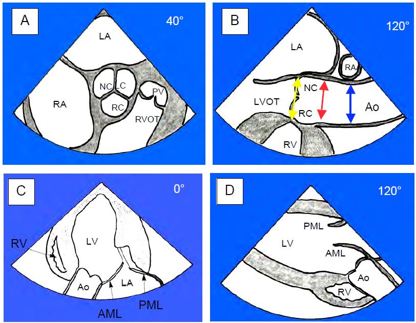 Fig11 23 en