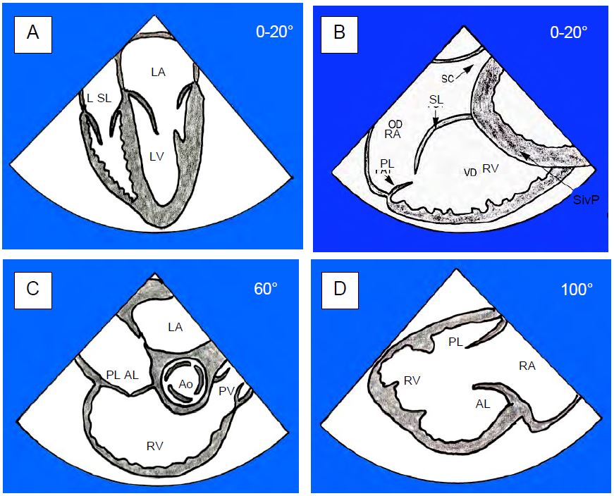 Fig11 24A en