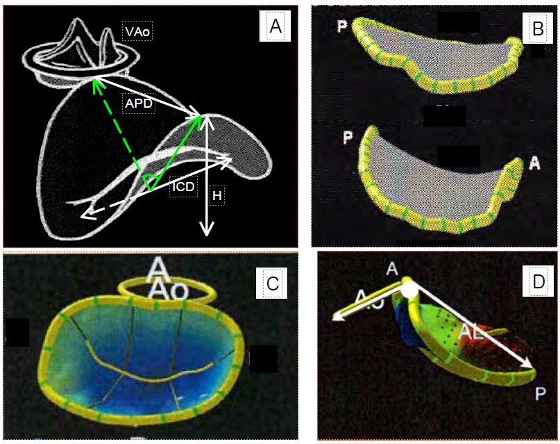 Fig11 4 en