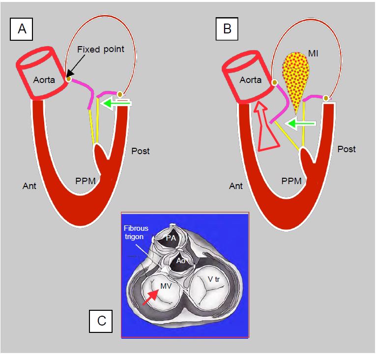 Fig11 45 en