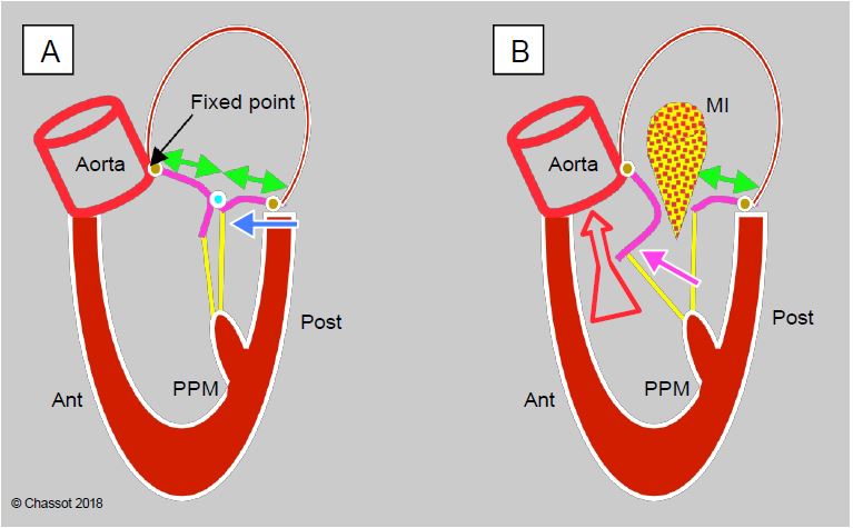 Fig11 56 en