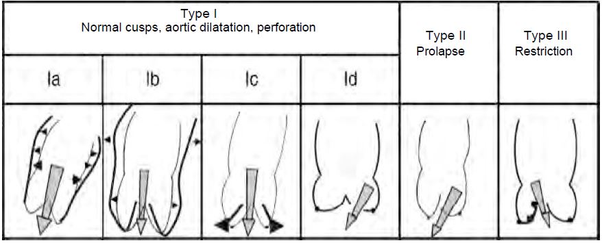 Fig11 59 en