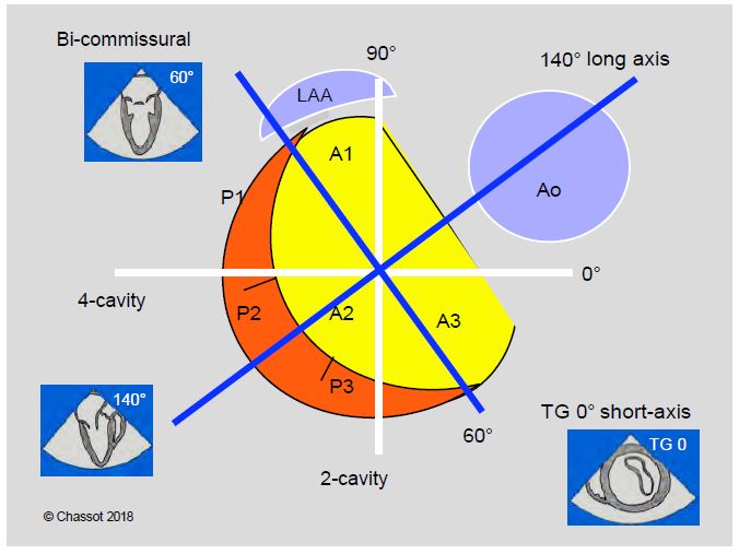 Fig11 6 en
