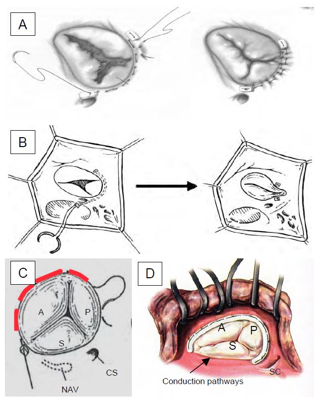 Fig11 61 en