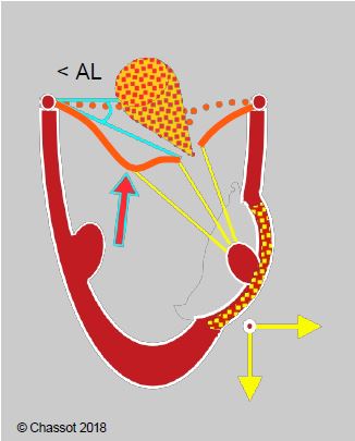 Fig11 65 en