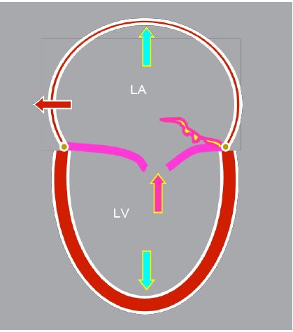 Fig11 69 en