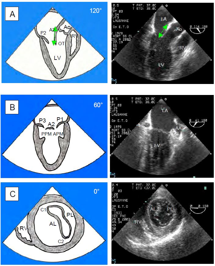 Fig11 7 en