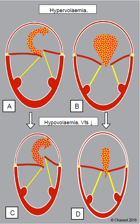 Fig11 70 en