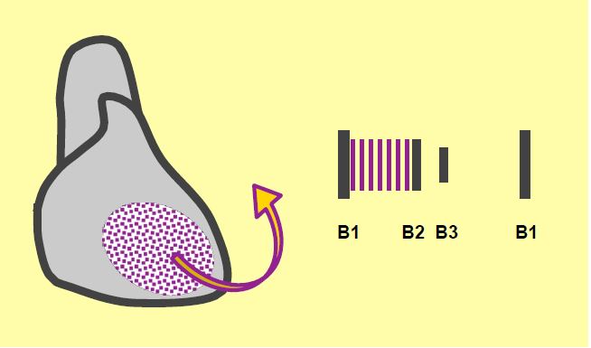 Fig11 72 en