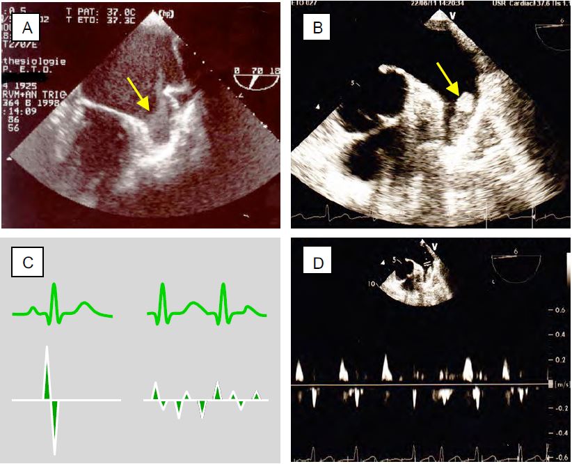 Fig11 89 en