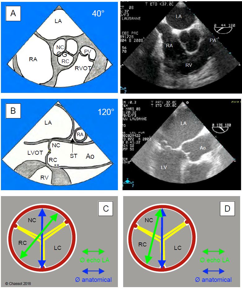 Fig11 9 en