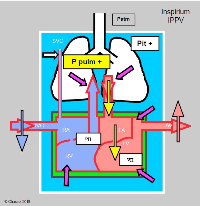 Fig11 97 en