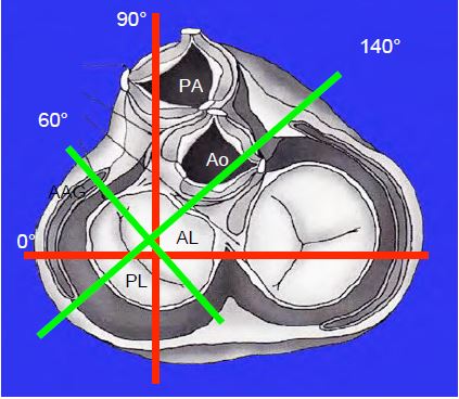 Fig26 65en