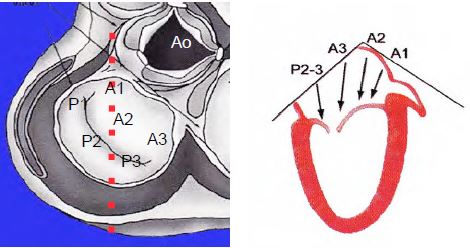 Fig26 6Aen