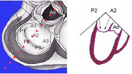Fig26 6Ben