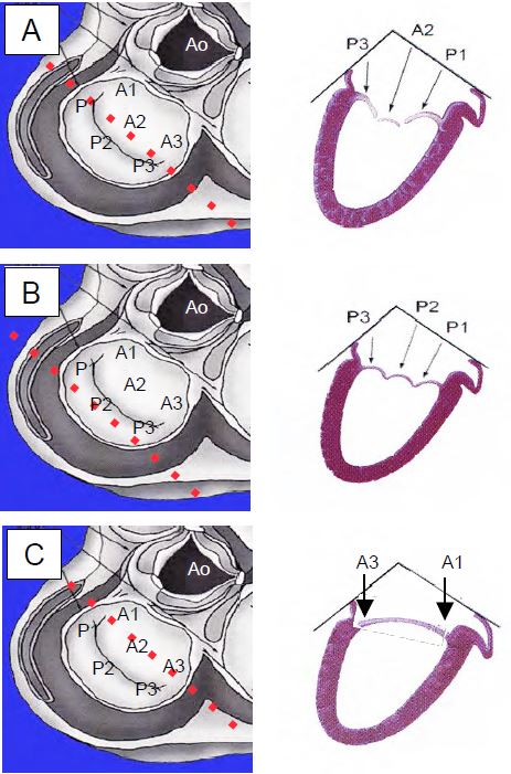 Fig26 7en