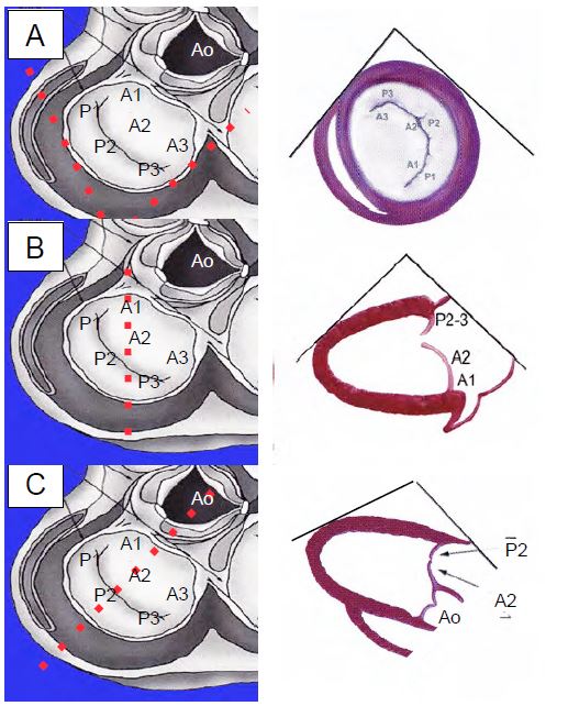 Fig26 8en