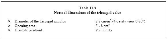 Tab11 3